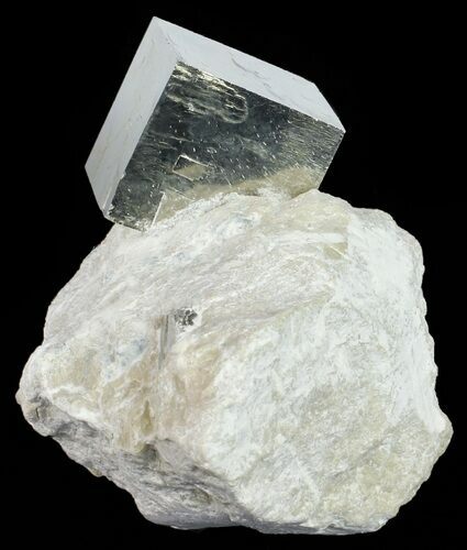 Golden Pyrite Cube In Rock - Navajun, Spain #57768